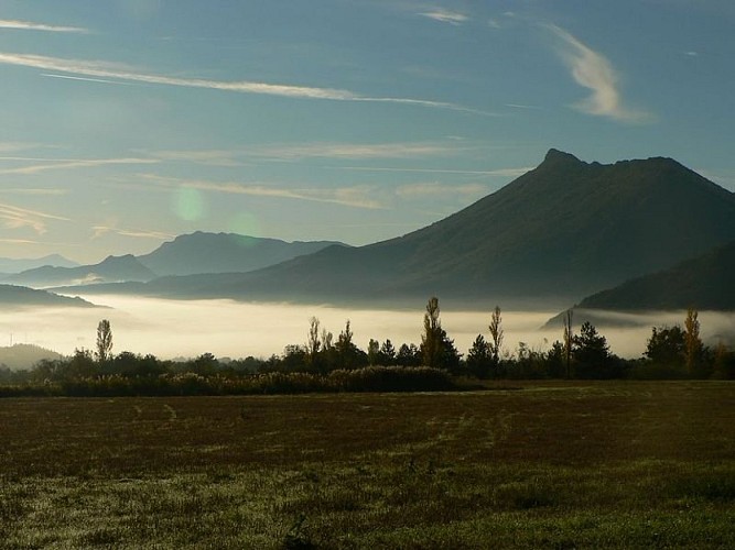 Belle lueur sur Arambre