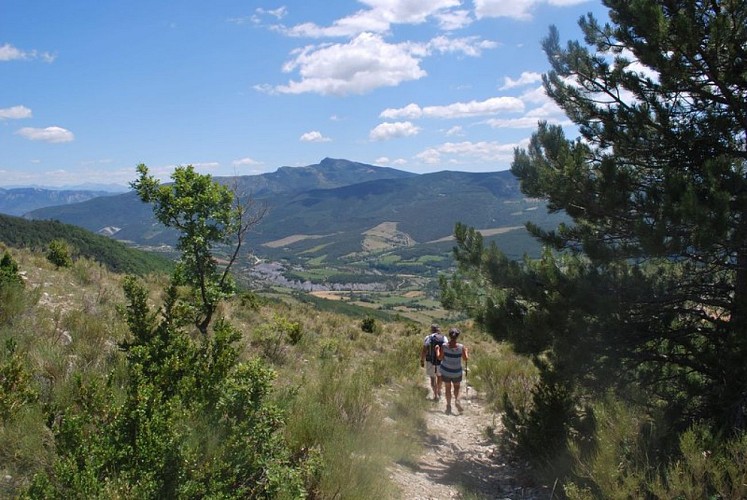 Le Serrois, territoire sauvage