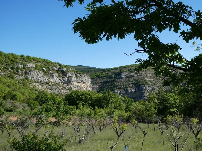 Gorges de la Méouge