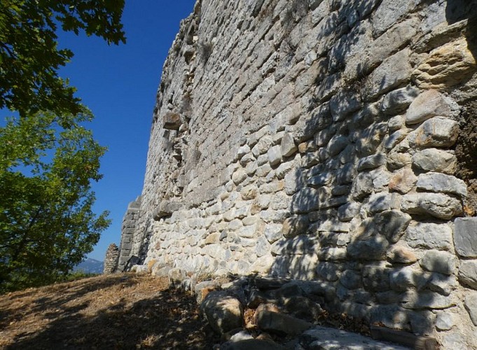 Ruines du château d'Arzeliers