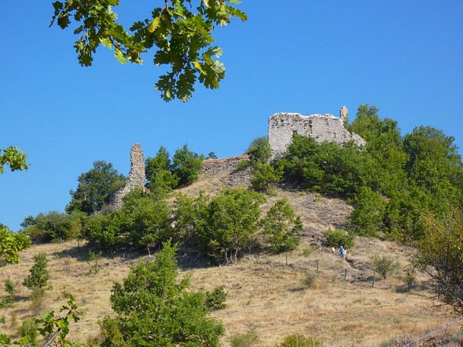 Panorama sur le château d'Arzeliers