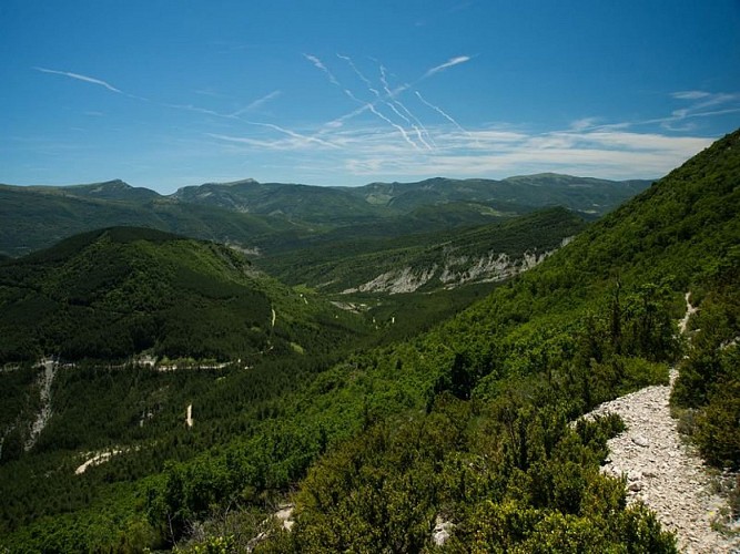 Sentier panoramique bordant la Forêt Domaniale de la Méouge