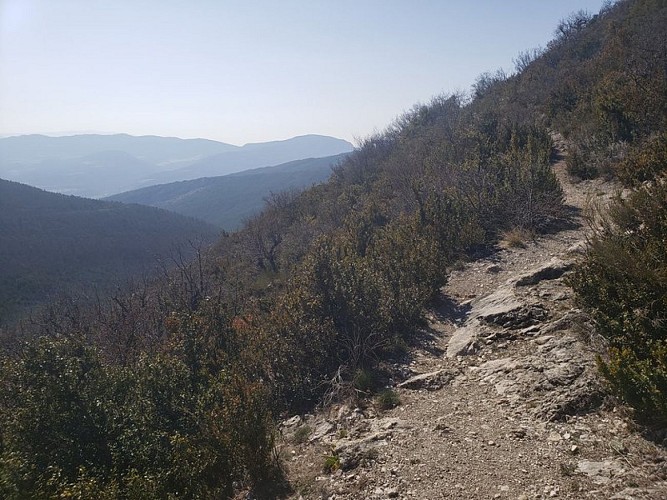 Crête de Raton (Variante) (N°8)