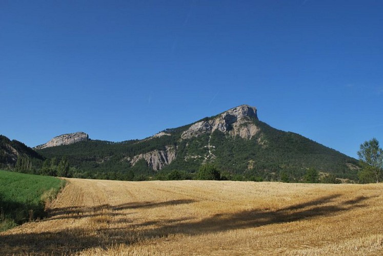 Les plaines agricoles autour de Savournon