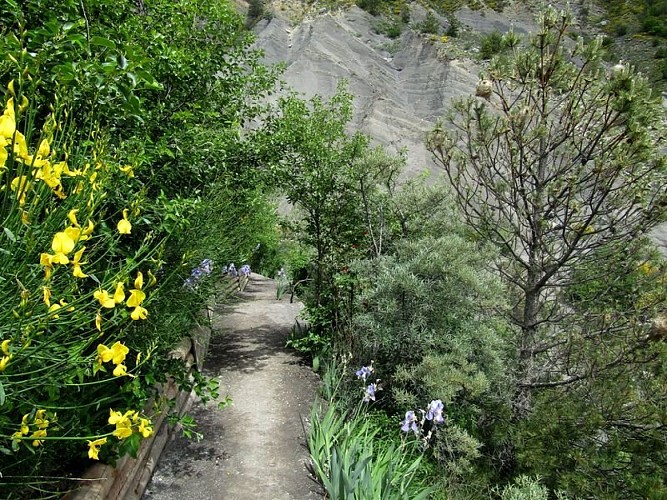 Agréable sentier aménagé