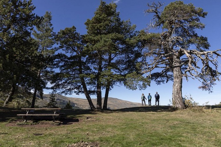 Sur les rives du lac des Monges