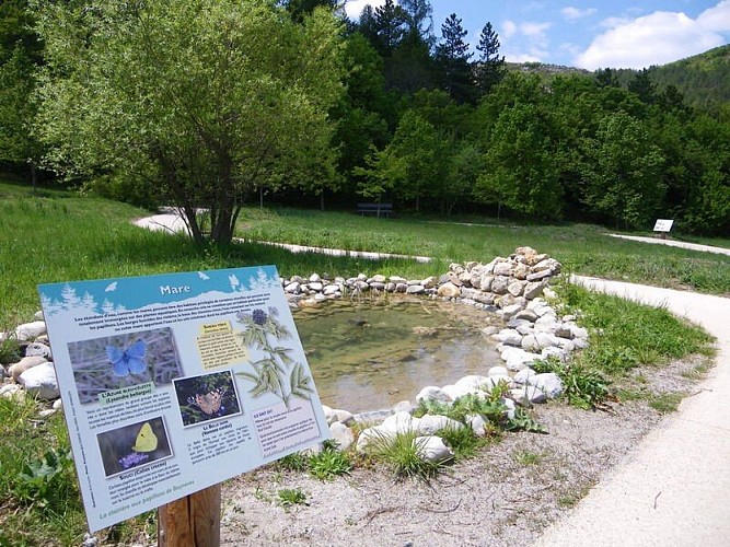 Petite mare en chemin