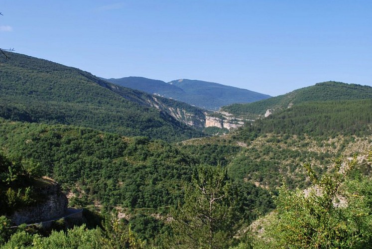 Au coeur de la forêt domaniale de la Méouge