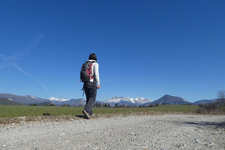 Douce traversée du plateau