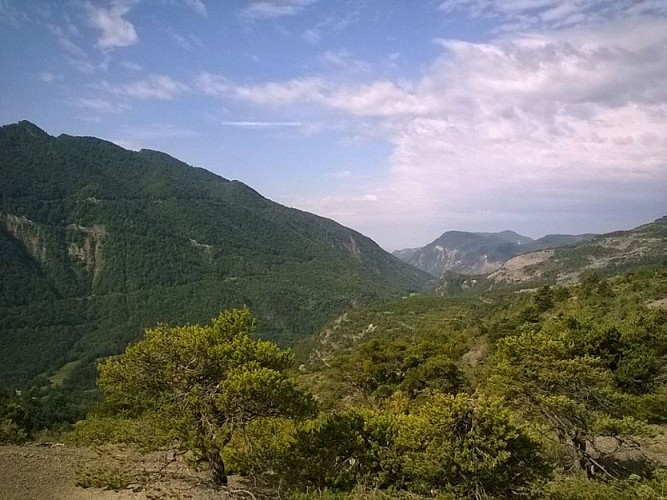 Vue sur les Hautes Terres de Provence