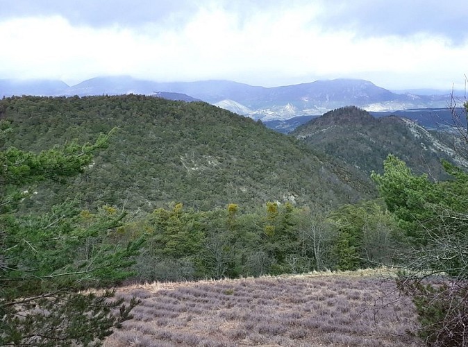 Beau point de vue en chemin