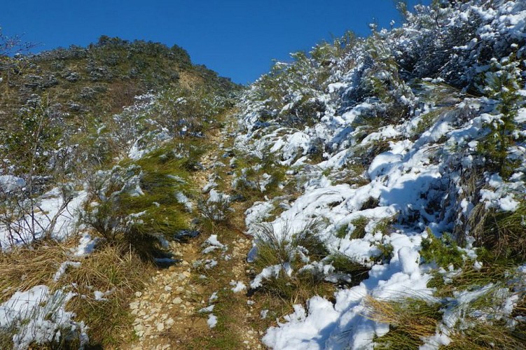 Sentier saupoudré de neige