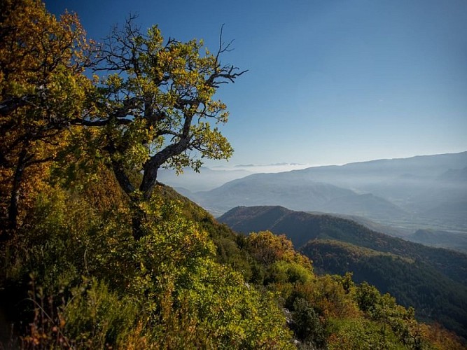 Vue dégagée durant l'ascension