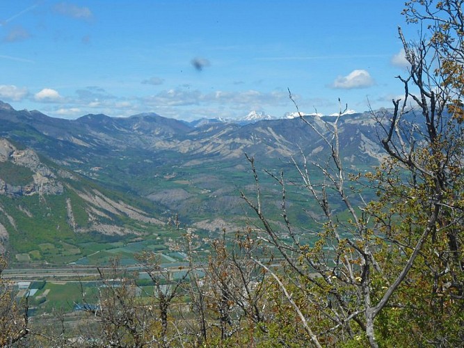 Point de vue sur la plaine