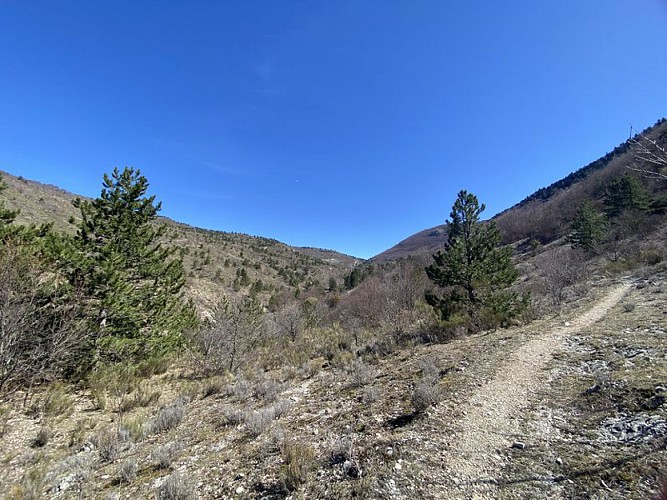 Les paysages sauvages autour d'Eourres