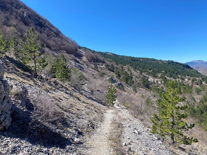 Sentier sur les hauteurs d'Eourres