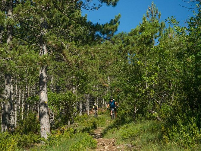 Traversée de la forêt Domaniale de la Méouge à VTT