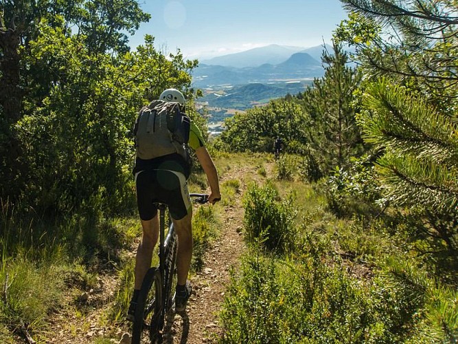 Descente sur sentier avec vue dégagée