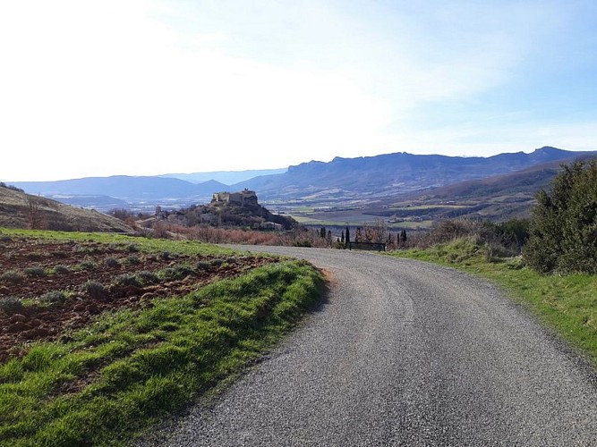 Ruines du château de Mison