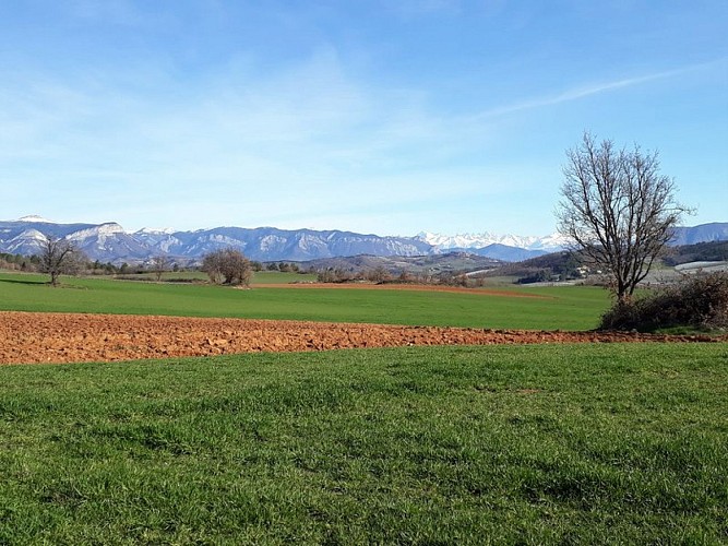 Plateau des Romeyères
