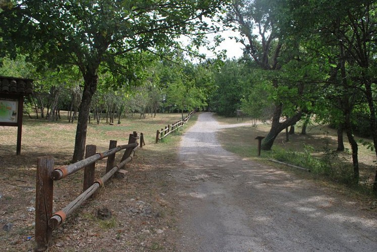 Chemin ombragé et roulant