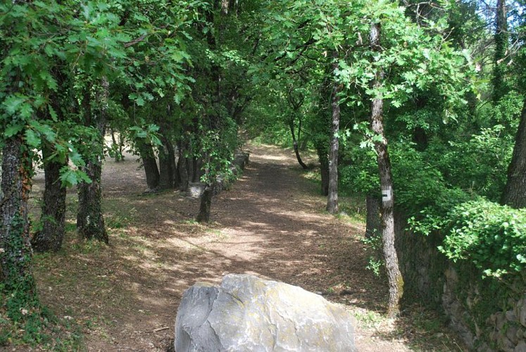 Forêt Domaniale de Beaumont