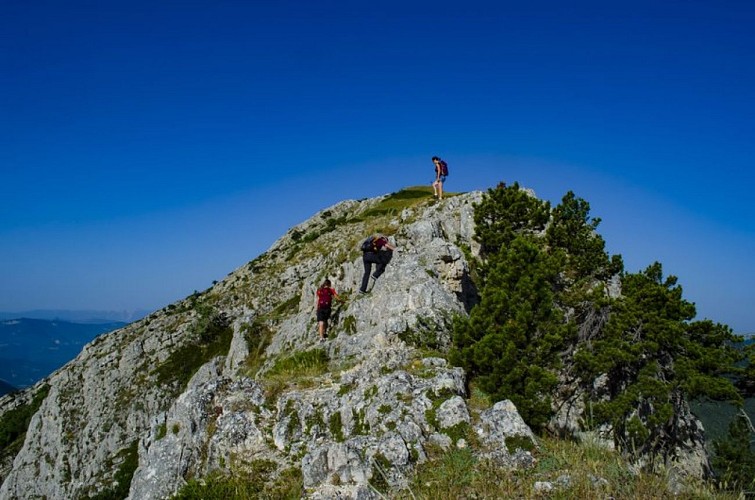 Sentier technique sur les falaises
