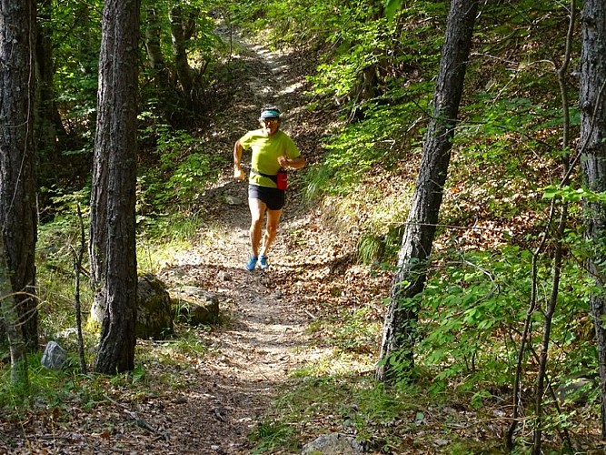 Descente en sous-bois