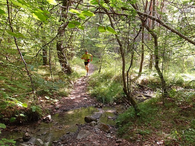 Un beau terrain de jeu pour les traileurs