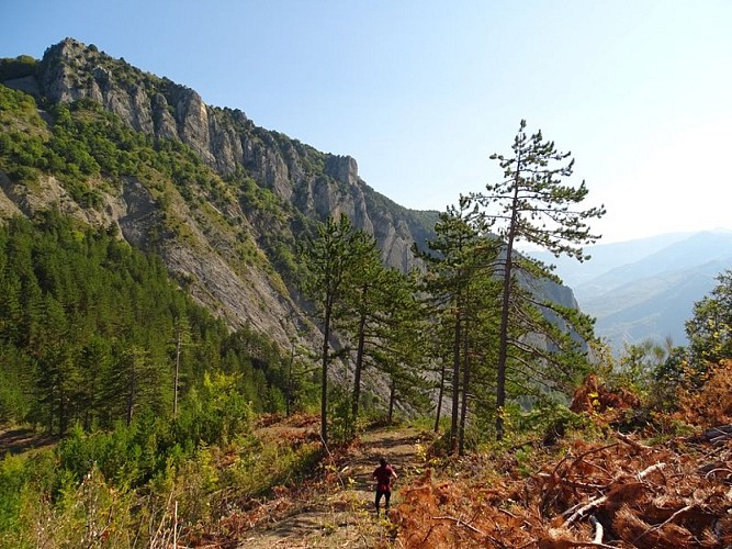 Très belle vue dégagée sur la vallée