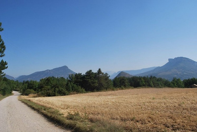 D'immenses plaines agricoles bordent le chemin