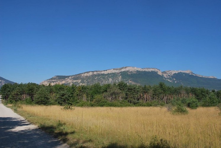 Le Rocher de Beaumont à l'horizon