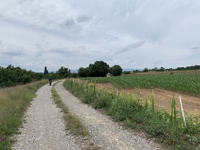 Traversée de grandes plaines agricoles