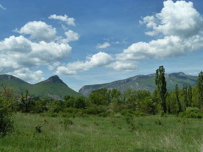 Plateau de Saléon