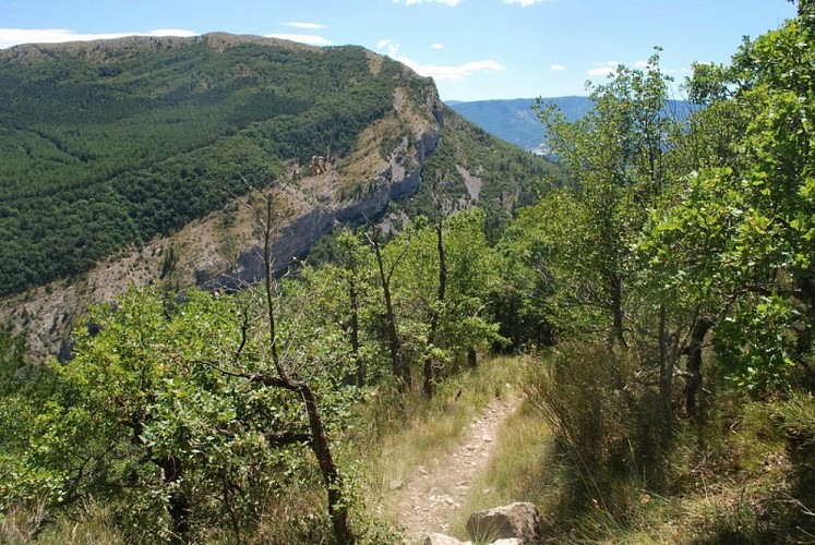 Beau sentier panoramique