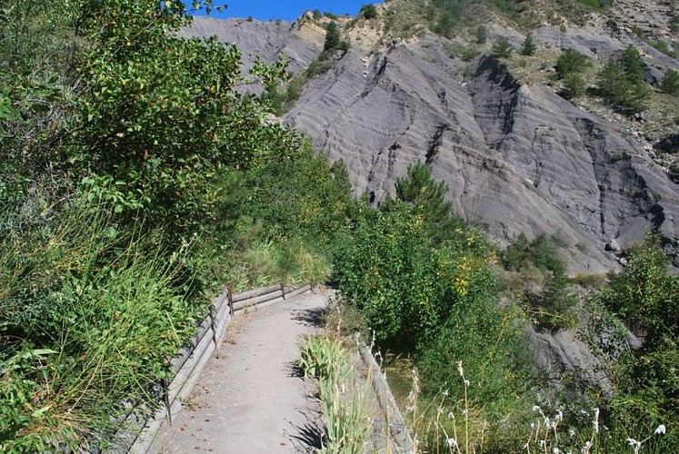 Beau sentier aménagé