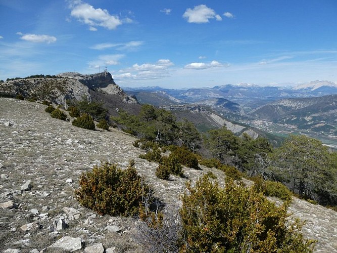 Panorama
