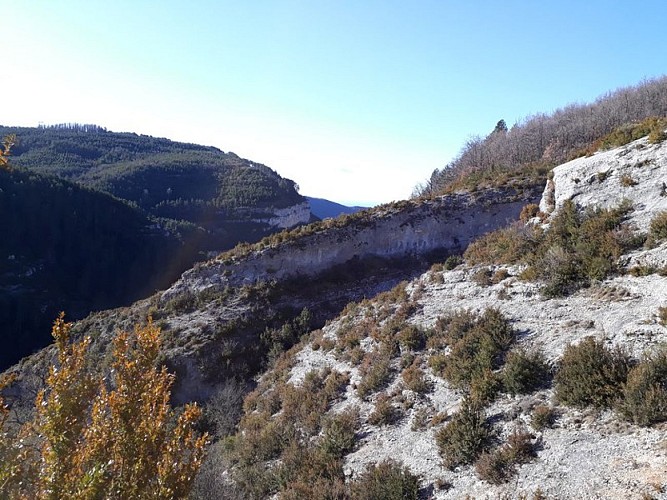 Point de vue durant la balade
