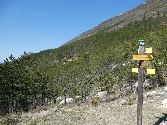 Forêt domaniale de la Méouge