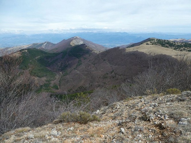 Méouge sauvage