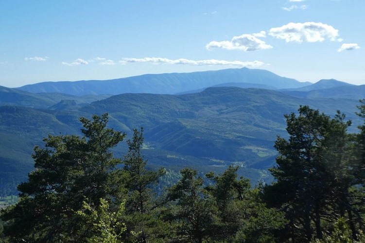 Paysage vallonné et sauvage