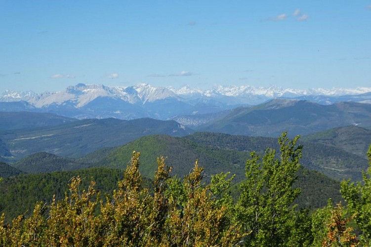 Panorama sur les sommets du Dévoluy et des Ecrins