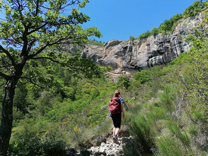 Agréable sentier sous les falaises