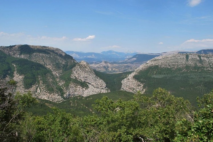 Paysage sauvage et vallonné