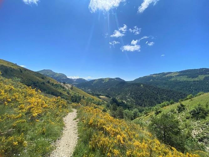 Le Sisteronais sauvage