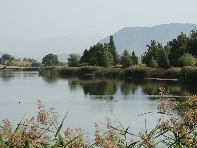 Le lac de Mison, espace naturel sensible
