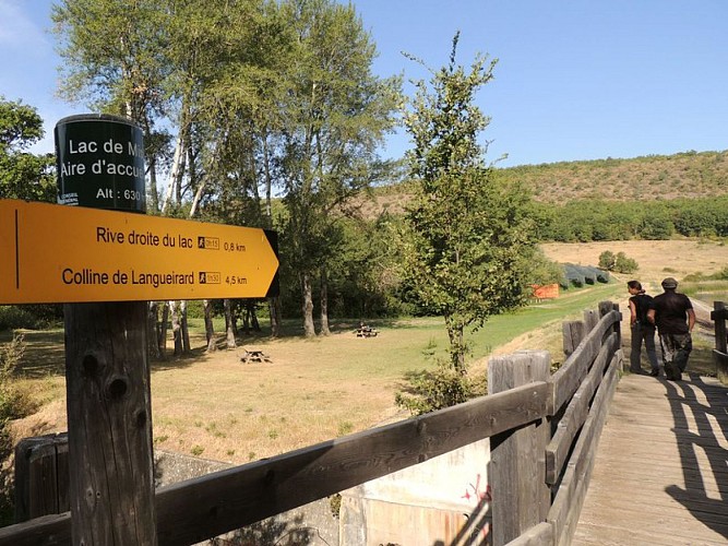 Sentier aménagé avec des plateformes en bois