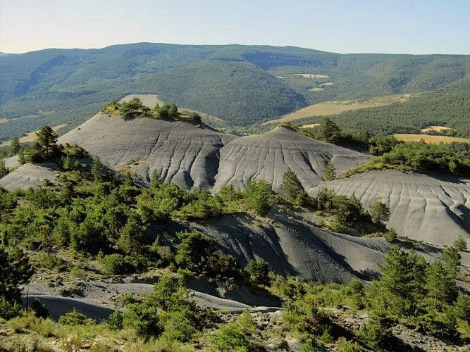 Panorama sur les marnes bleues
