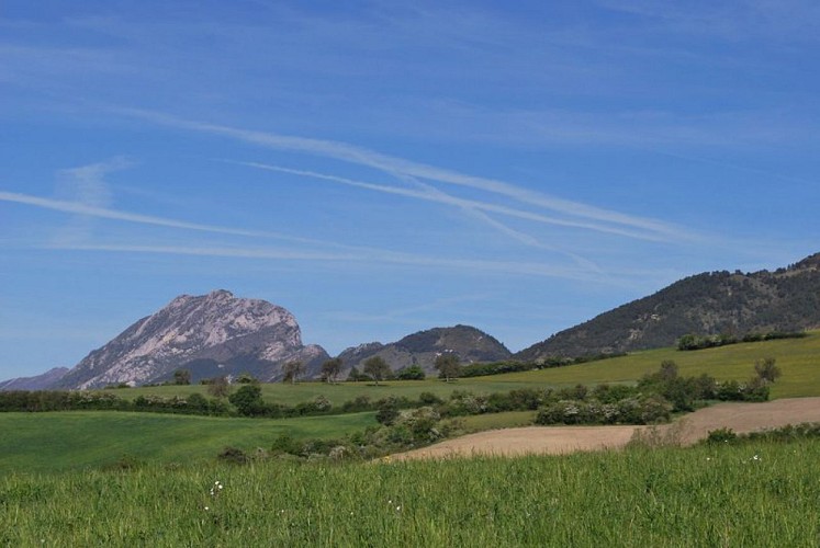 Beau point de vue dégagé