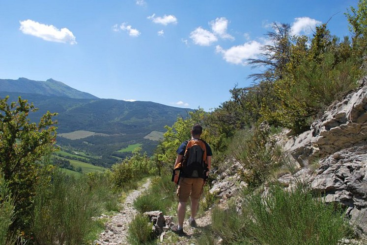 Panorama sauvage sur le Serrois